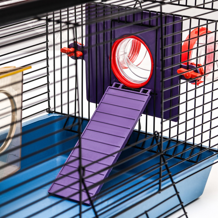 Клетка для грызунов малая с лабиринтом, колесом и домом, 40 x 25 х 22 см, микс цветов Клетка для грызунов малая с лабиринтом, колесом и домом, 40 x 25 х 22 см, микс цветов