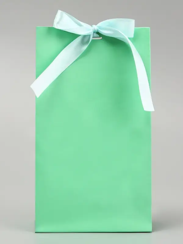 Пакет подарочный с лентой «Бирюзовый» 13×23×7 см, 1 шт.