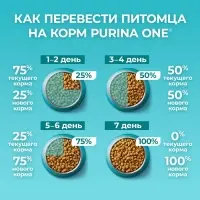 Сухой корм ONE для домашних кошек, индейка с цельными злаками 200 г