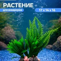 Растение искусственное аквариумное, на подставке под камень, 17&times;14&times;16 см