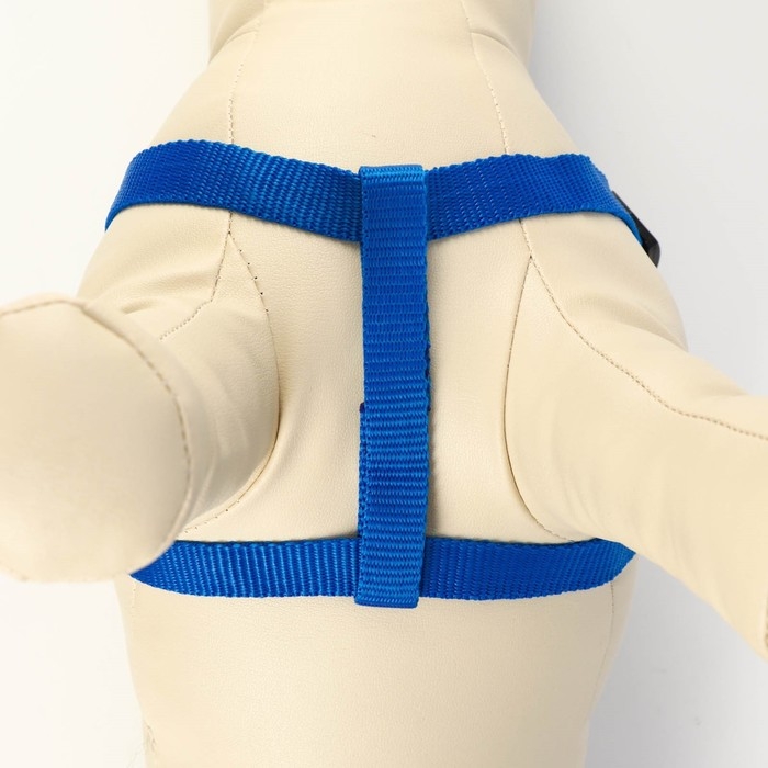 Комплект Комплект "Базис", поводок 120 х 1,5 см, шлейка 32-46 х 1,5 см, синий