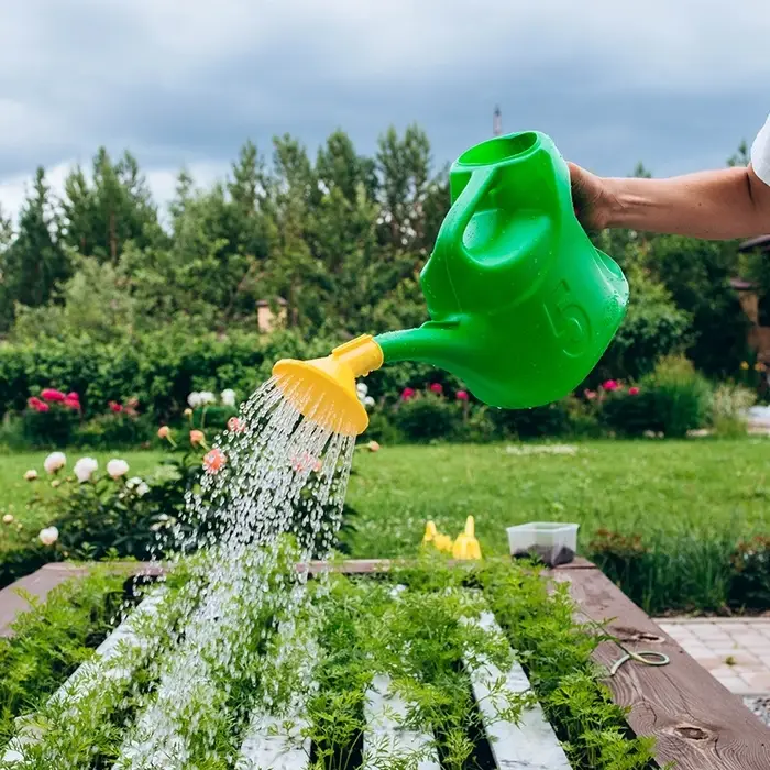 Лейка, 5 л, с рассеивателем, носик d=30 мм, цвет МИКС