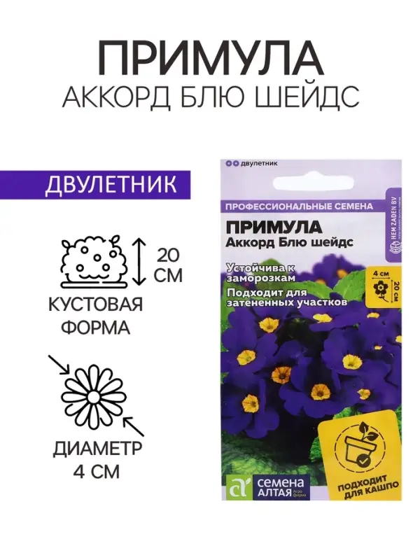 Семена Примула "Аккорд Блю шейдс", ц/п,  5 шт