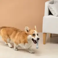 VETTA Игрушка для домашних животных, ТПР, 12 см