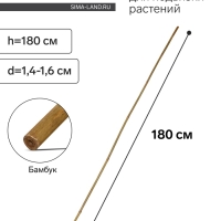 Колышек для подвязки растений, h = 180 см, d = 1,4-1,6 см, бамбук, Greengo