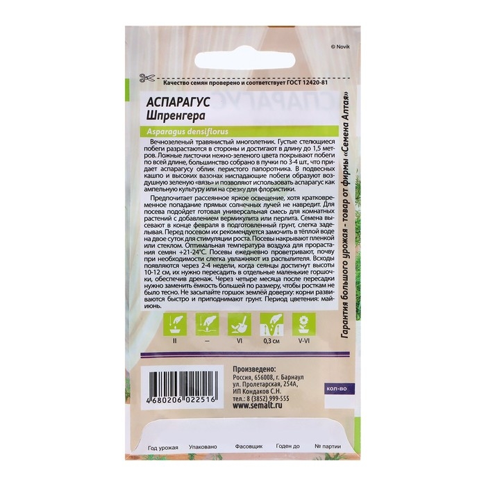 Семена Аспарагус  Семена Аспарагус "Шпренггера", ц/п,  5 шт
