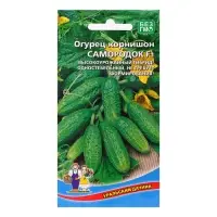 Семена Огурец "Самородок - корнишон", 10 шт