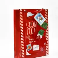 Пакет подарочный «Новогодний подарок», с носком для подарков, 31 × 40 × 11 см Пакет подарочный «Новогодний подарок», с носком для подарков, 31 × 40 × 11 см