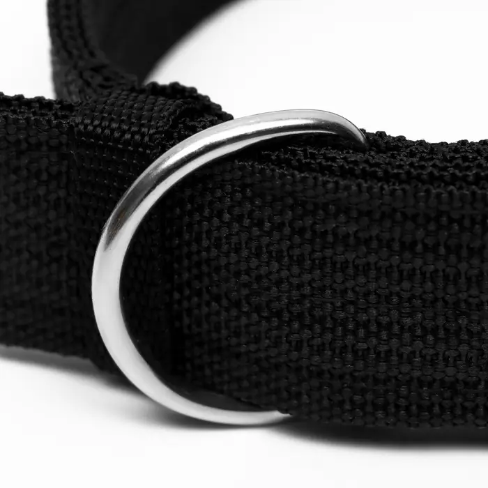 Ошейник четырехслойный, 64&times;4 см, ОШ 50-58 см, полиэстер, чёрный