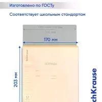 Тетрадь 12 листов в линейку ErichKrause CoverPro matt Dream, МИКС