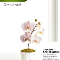 Мох сфагнум для террариумов &laquo;Рецепты дедушки Никиты&raquo; 2 л