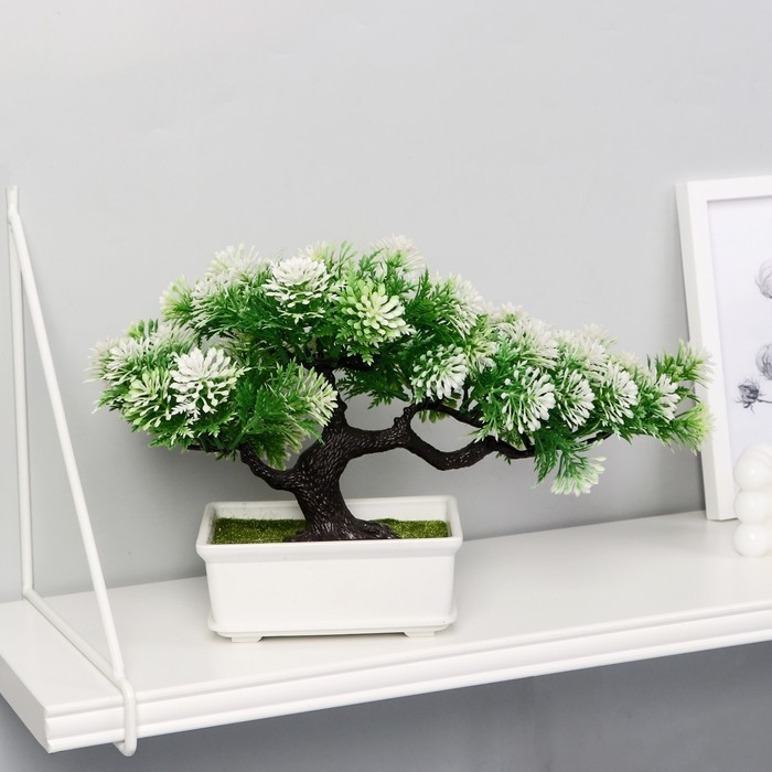 Бонсай Бонсай "Звёздник" 16х22 см, микс