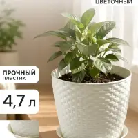 Горшок цветочный с поддоном &laquo;Ротанг&raquo;, 4.7 л, d=15 см, h=14 см, пластиковый, белый