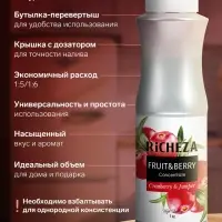 Концентрат RiCHEZA &laquo;Клюква-Можжевельник&raquo;, 1000 г