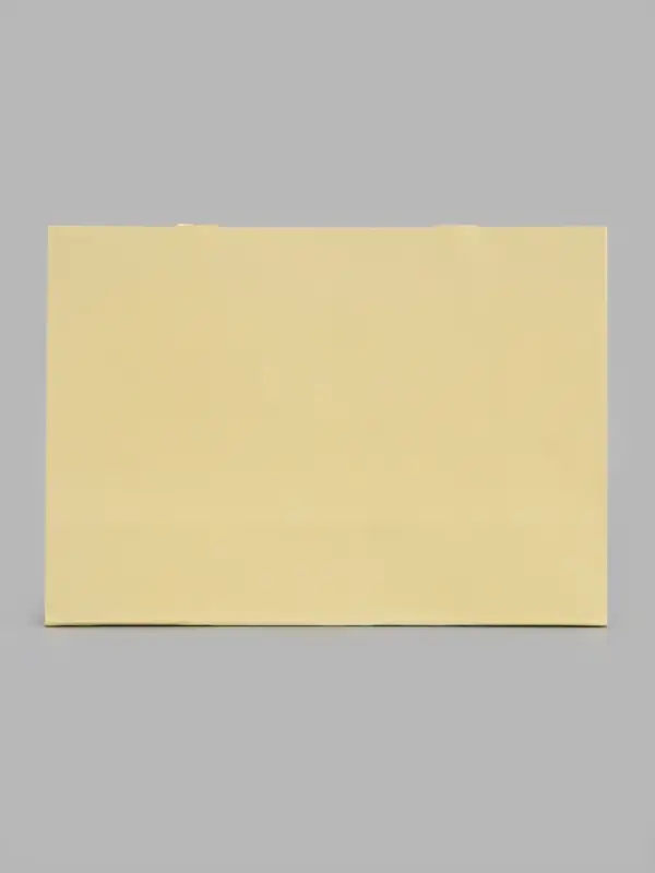 Пакет подарочный, ламинированный, горизонтальный, &laquo;Молочный&raquo;, 28&times;20&times;10 см