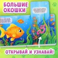 Книжка картонная с окошками &laquo;Кто что ест?&raquo;, 12 стр.