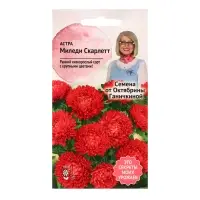 Семена цветов Астра "Миледи скарлет", 0,1 г