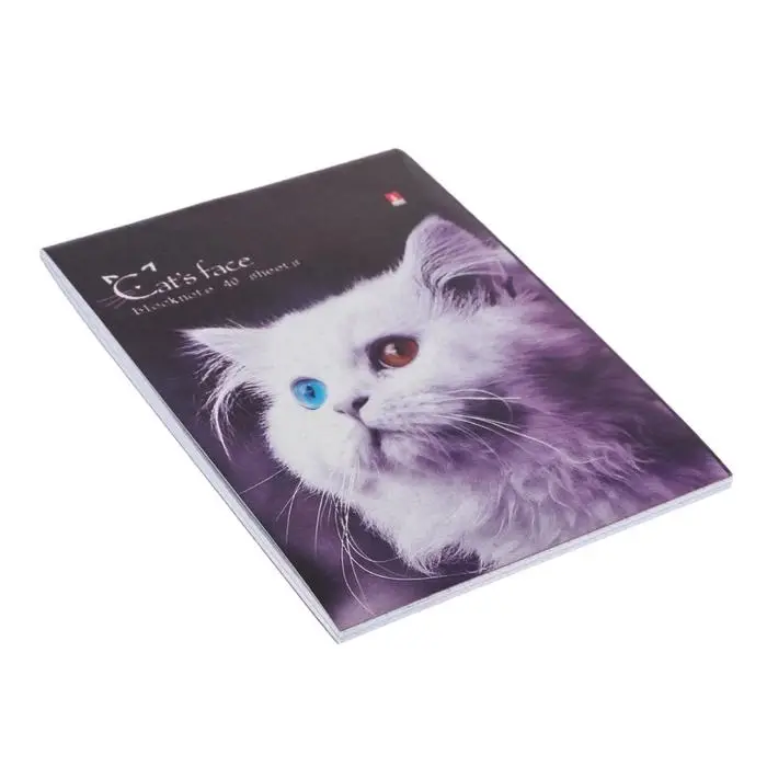 Блокнот А6, 40 листов на скрепке "Котята", МИКС