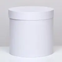 Коробка подарочная круглая, шляпная, белая, 23&times;23 см
