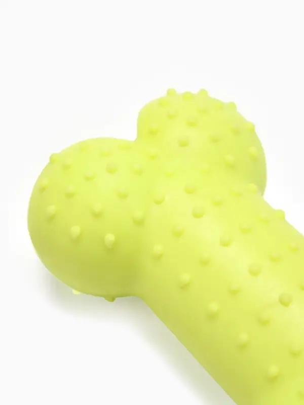 Жевательная игрушка для собак &laquo;Кость малая&raquo;, 8.5 см, TPR, салатовая