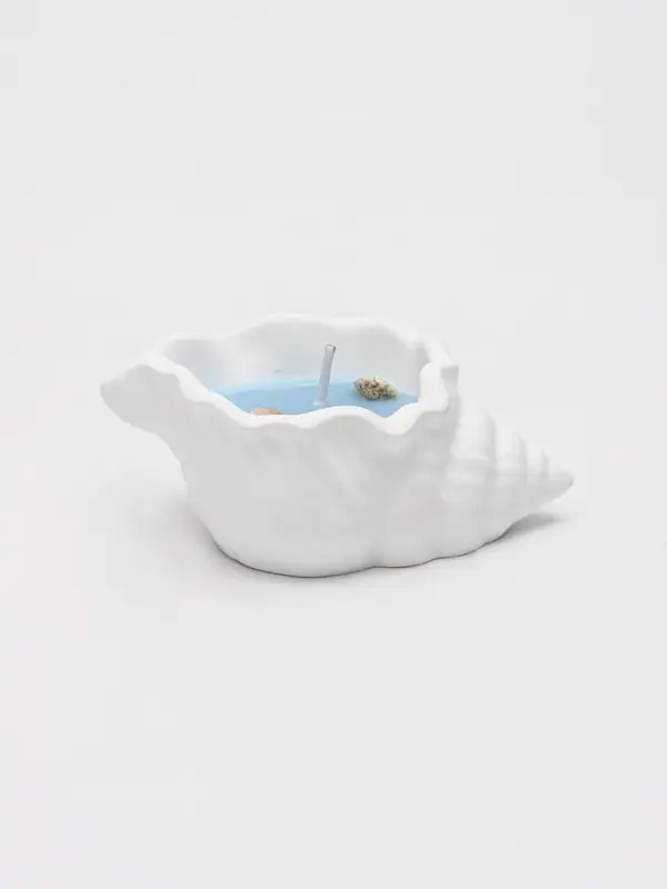 Свеча ароматическая в гипсе &laquo;Ракушка&raquo; 12&times;6.5&times;3 см, 50 г