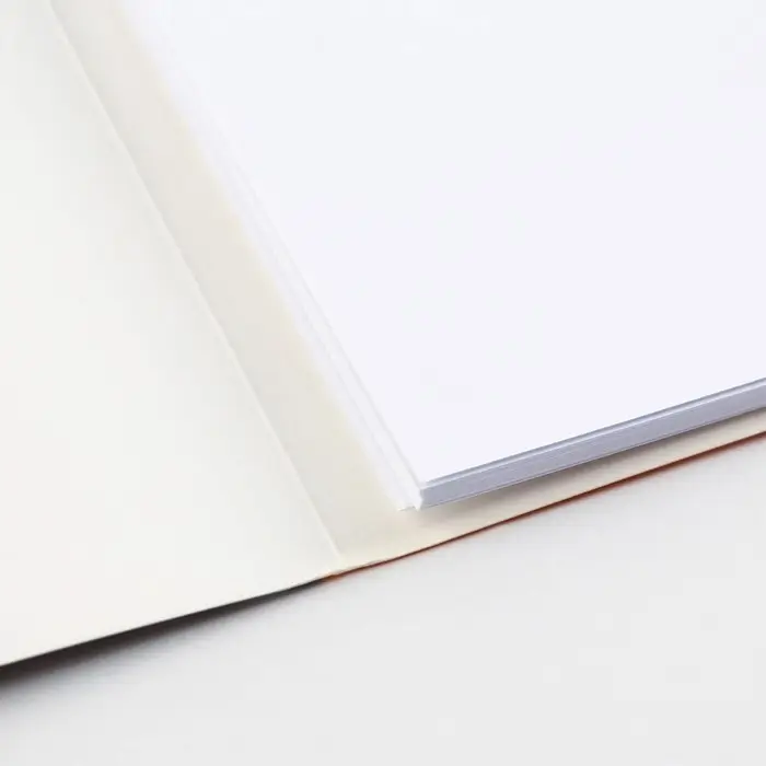 Бумага для черчения А4, 20 листов, без рамки, белизна 100%, 160 г/м² в папке Бумага для черчения А4, 20 листов, без рамки, белизна 100%, 160 г/м² в папке