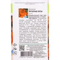 Семена Физалис "ЯНТАРНЫЕ БУСЫ", 0,1 г