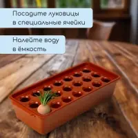 Ящик для выращивания зелёного лука, 40&times;19&times;10 см, 21 лунка, пластик, красный