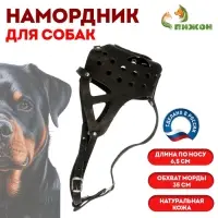 Намордник кожаный, цельнокроенный, длина по носу 6.5 см, ОМ 35 см, ротвейлер, чёрный