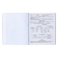 Набор предметных тетрадей ErichKrause &laquo;Зри в корень&raquo;, 12 предметов, 48 листов, со справочным материалом, пластиковая обложка