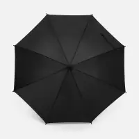 Зонт-трость Jolly Brolly, черный