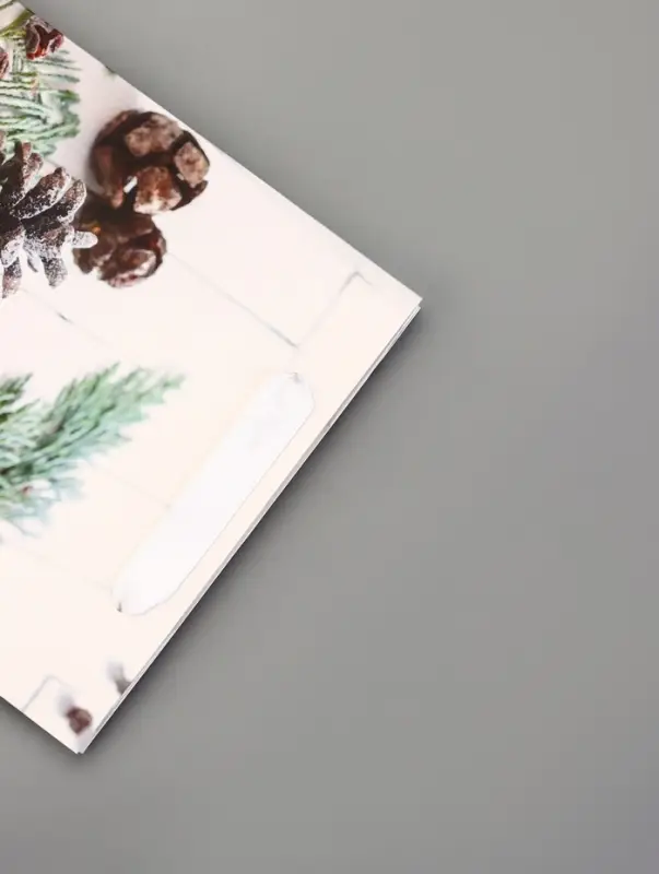 Пакет подарочный ламинированный Пакет подарочный ламинированный "Зимняя пора" 18 х 23 х 10 см