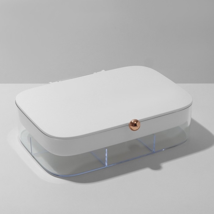 Подставка для украшений «Шкатулка» 2 яруса, 30 ячеек, 18×14×5 см, пластик, цвет белый Подставка для украшений «Шкатулка» 2 яруса, 30 ячеек, 18×14×5 см, пластик, цвет белый