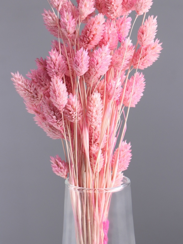 Набор сухоцветов "Фаларис", банч длина 55 (+/- 6 см), розовый