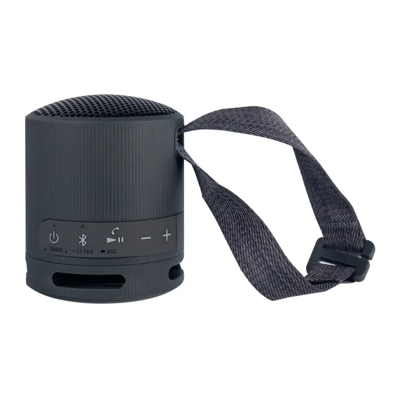 Портативная Bluetooth колонка SRS-XB100 Черный