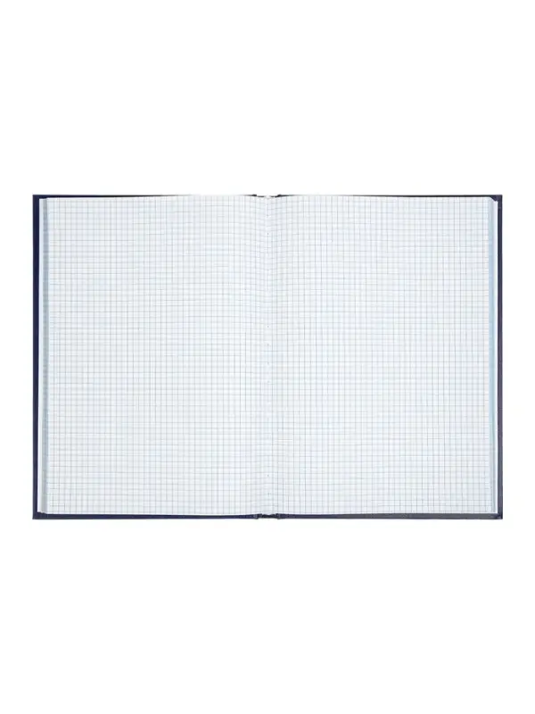 Книга учета А4 192л Бумвинил Офсет клетка, синий