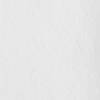 Полотенца бумажные листовые Luscan Professional 2-слойные 200 лист / уп