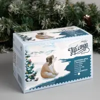 Гирлянда &laquo;Бахрома-арка&raquo; 2.5&times;1.2 м с насадками &laquo;Звёзды&raquo;, IP20, прозрачная нить, 136 LED, свечение белое, 8 режимов, 220 В