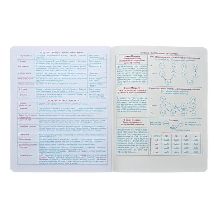 Тетрадь предметная "Неоновые истории", 48 листов в клетку, "Биология", обложка мелованный картон, ВД-лак, неон, блок офсет