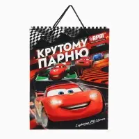 Пакет подарочный вертикальный с 3D &laquo;Крутому парню&raquo;, 31&times;40&times;11.5 см