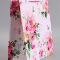 Пакет подарочный ламинированный "Комплимент" 26 х 12 х 32 см