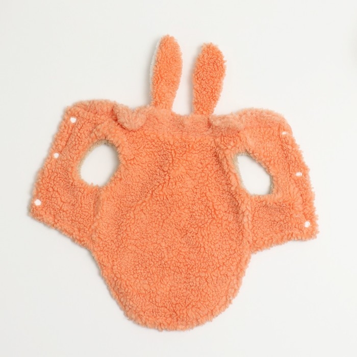 Костюм Зайка Костюм Зайка", размер S (ДС 25 см, ОШ 24 см. ОГ 35 см), оранжевый