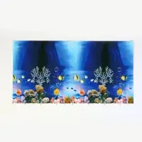Фон для аквариума двухсторонний, 40&times;75 см