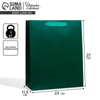 Пакет подарочный ламинированный, упаковка, &laquo;Изумрудный&raquo;, ML 23&times;27&times;11.5 см
