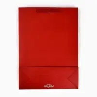 Пакет подарочный «С Новым годом», с бумажными  игрушками, 40 × 31 × 11 см