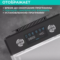 Сушилка для овощей и фруктов, дегидратор T-PFD42131