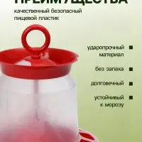 Кормушка бункерная для домашней птицы на 5 кг, цвет МИКС