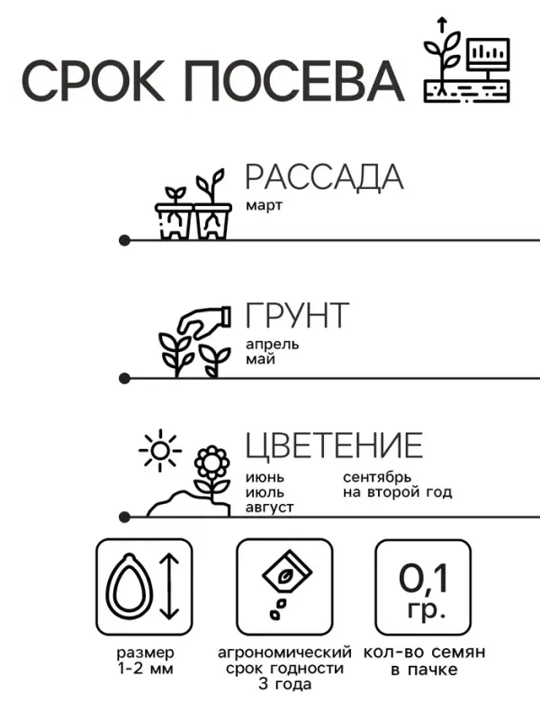 Семена цветов Нивяник "Серебряная принцесса", 0,1 г
