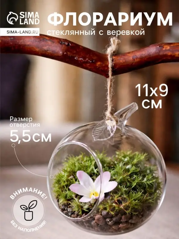 Флорариум &laquo;Натурель&raquo;, яблоко, с веревкой, d=5.5 см, 11&times;9 см, стекло, прозрачный