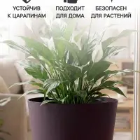 Горшок цветочный &laquo;Гранд&raquo;, пластиковый, с прикорневым поливом, 15 л, d=29.5 см, h=31 см, ежевичный